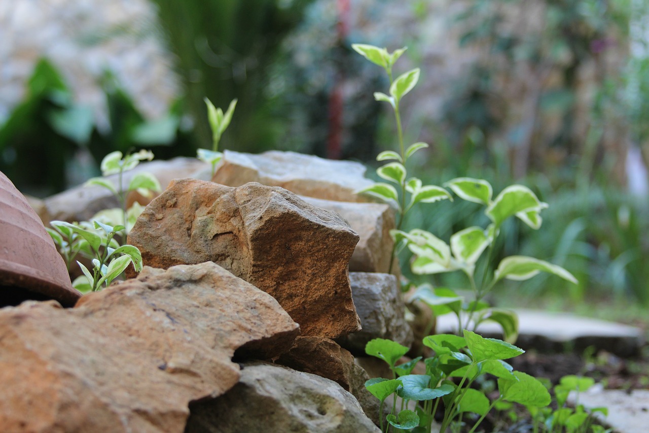 stones  nature  green free photo