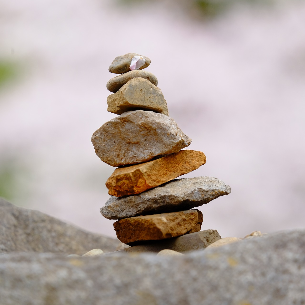 stones  sakura  zen free photo