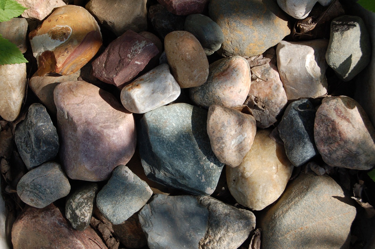 stones shadow breed free photo