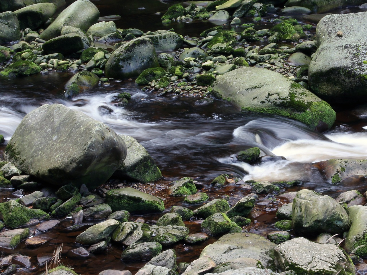 stones water bank free photo