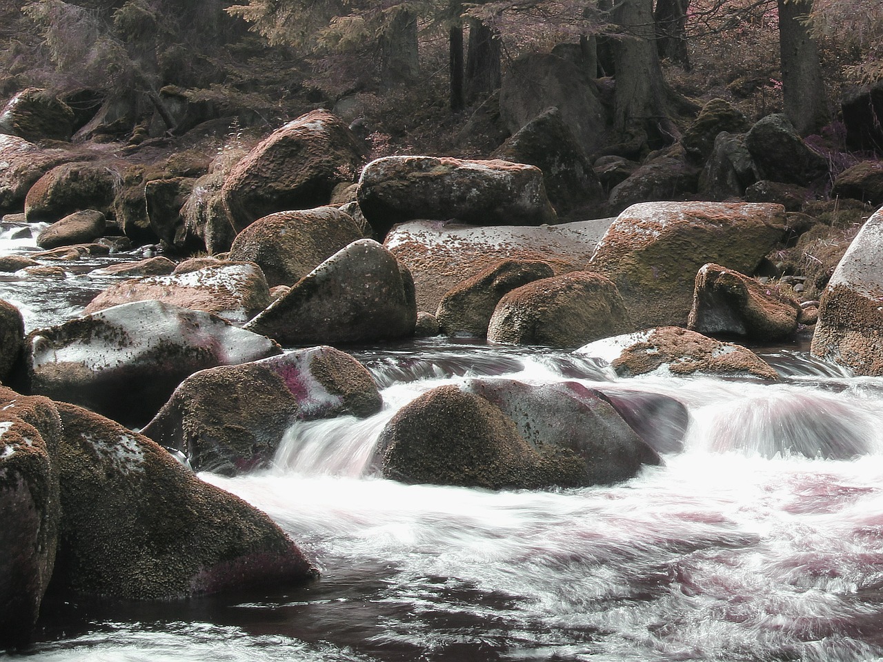 stones river nature free photo