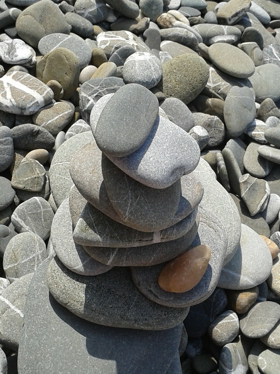 stones beach pebble free photo