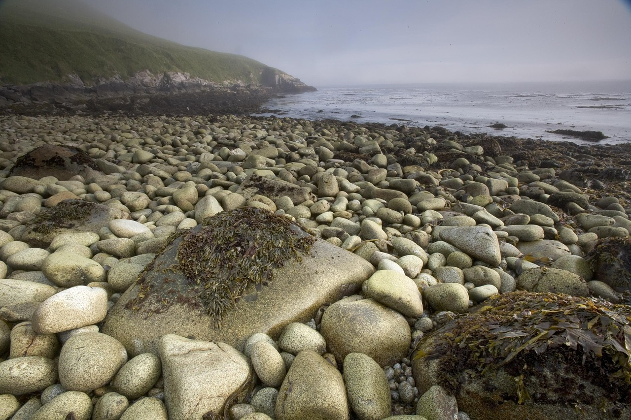 stones beach water free photo