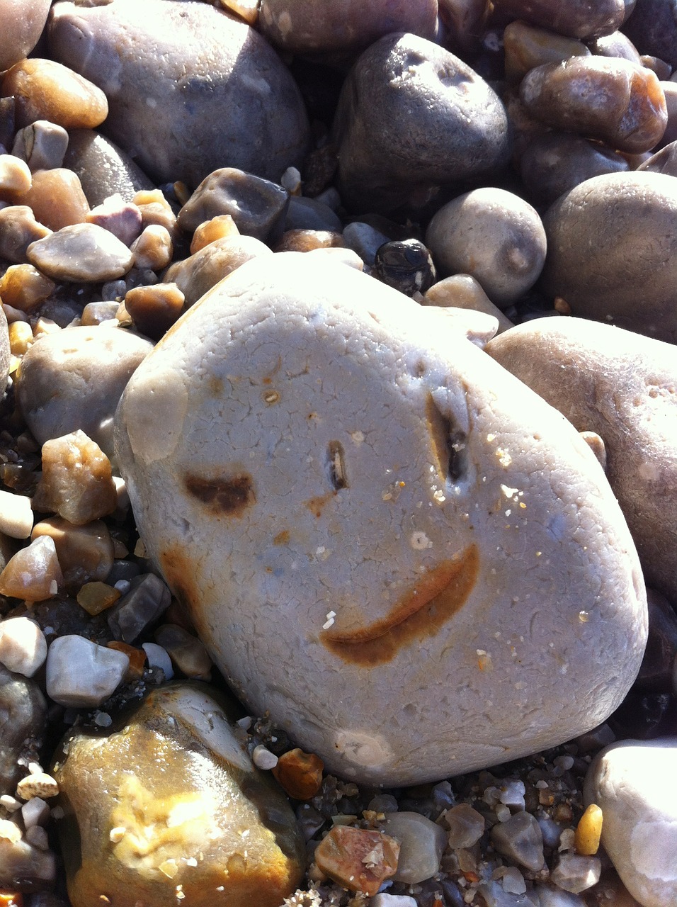 stones beach shore free photo