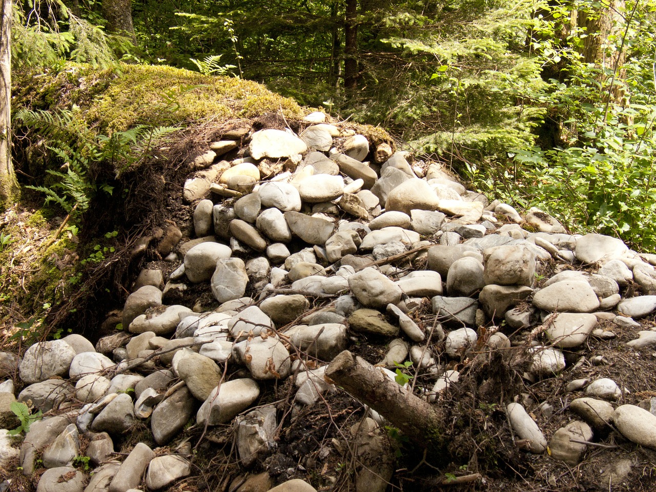 stones wall forest free photo