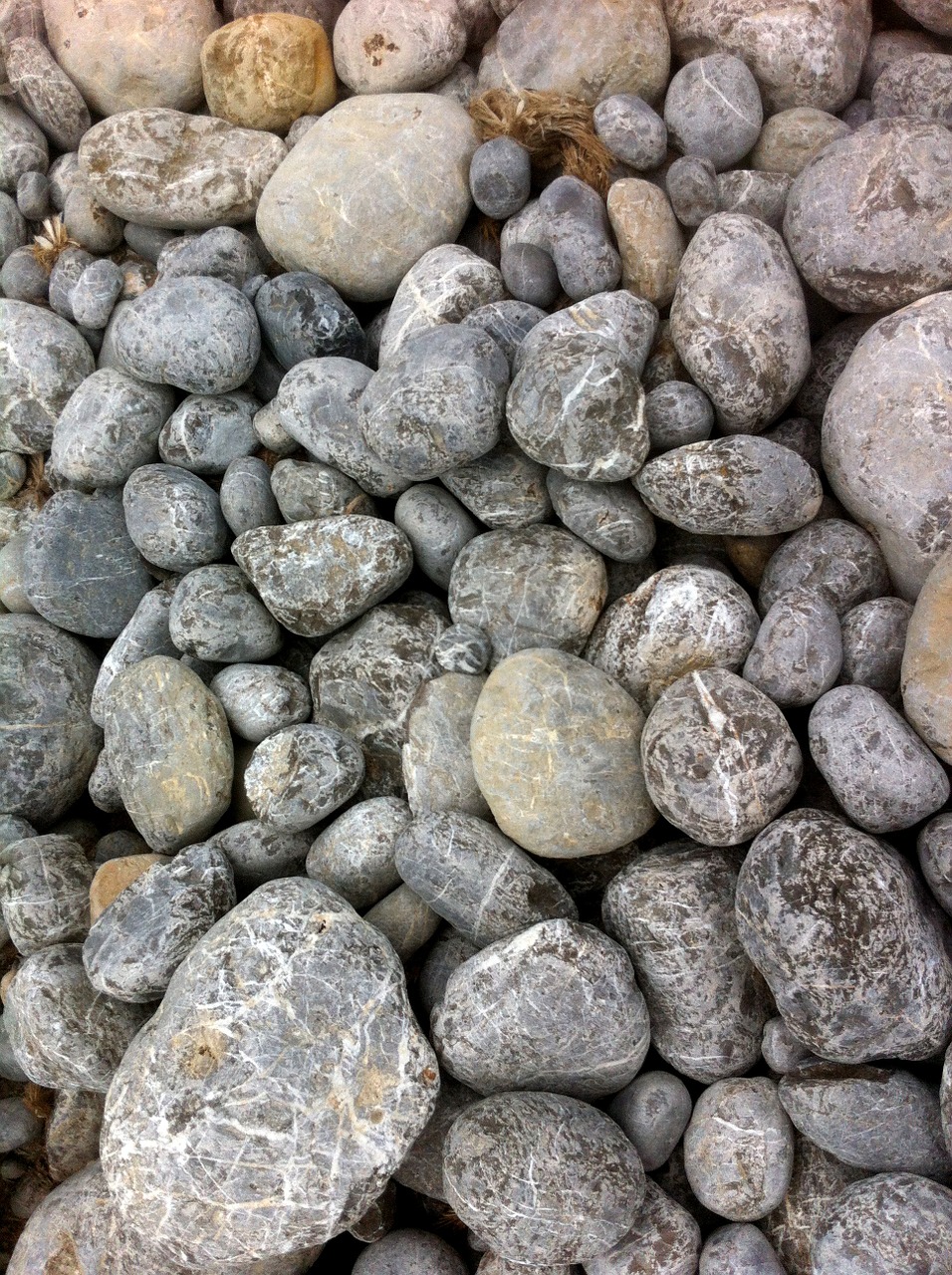 stones pebbles sea free photo