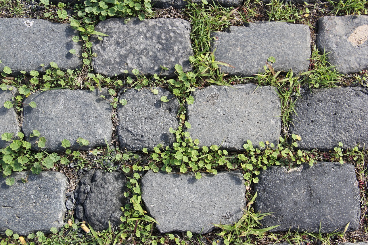 stones background stone free photo