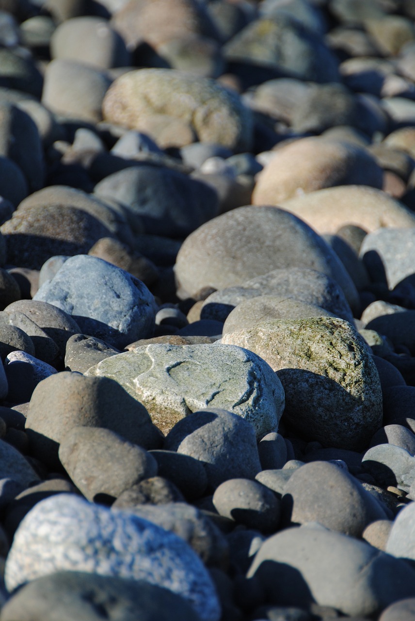 stones beach rocks free photo