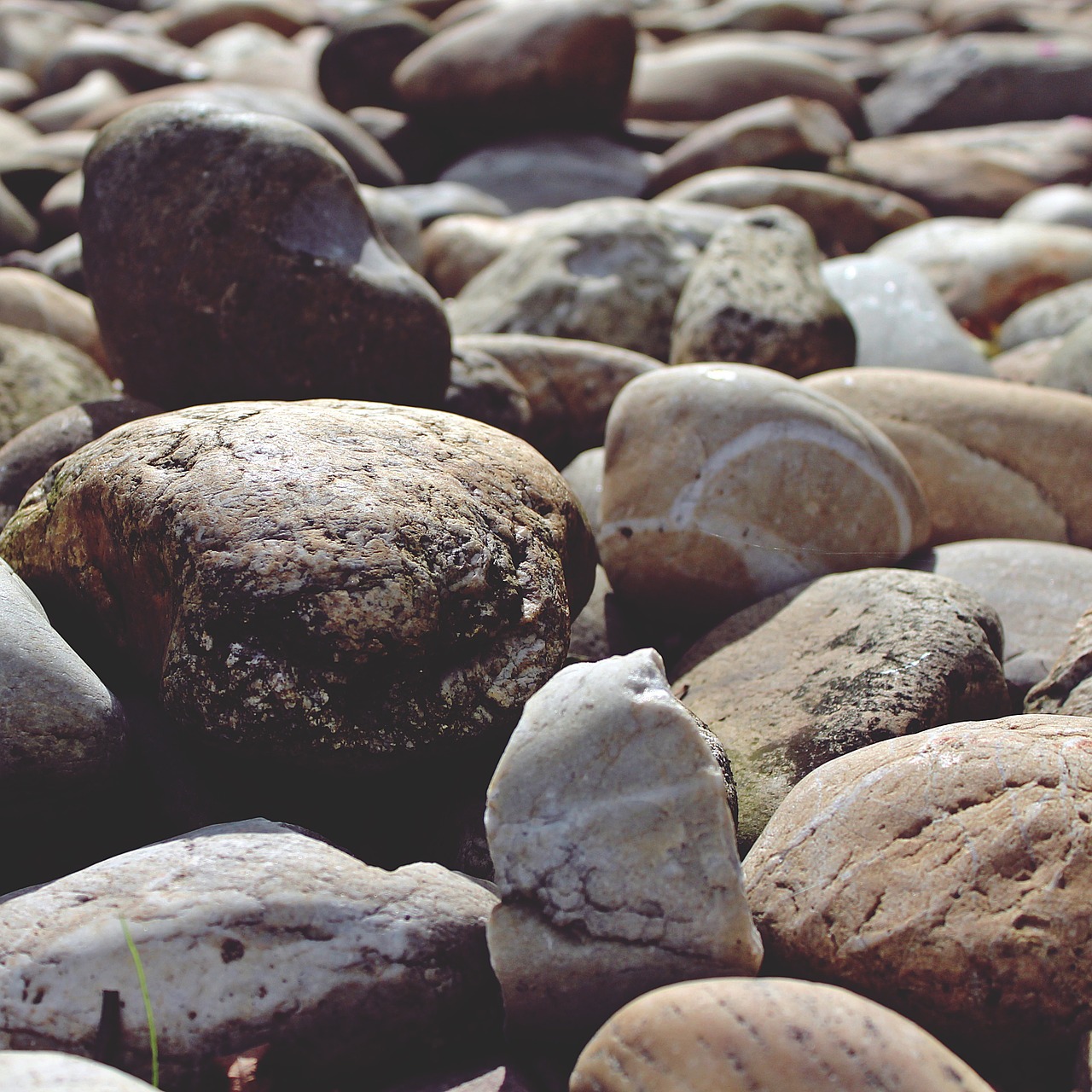 stones ground grey free photo