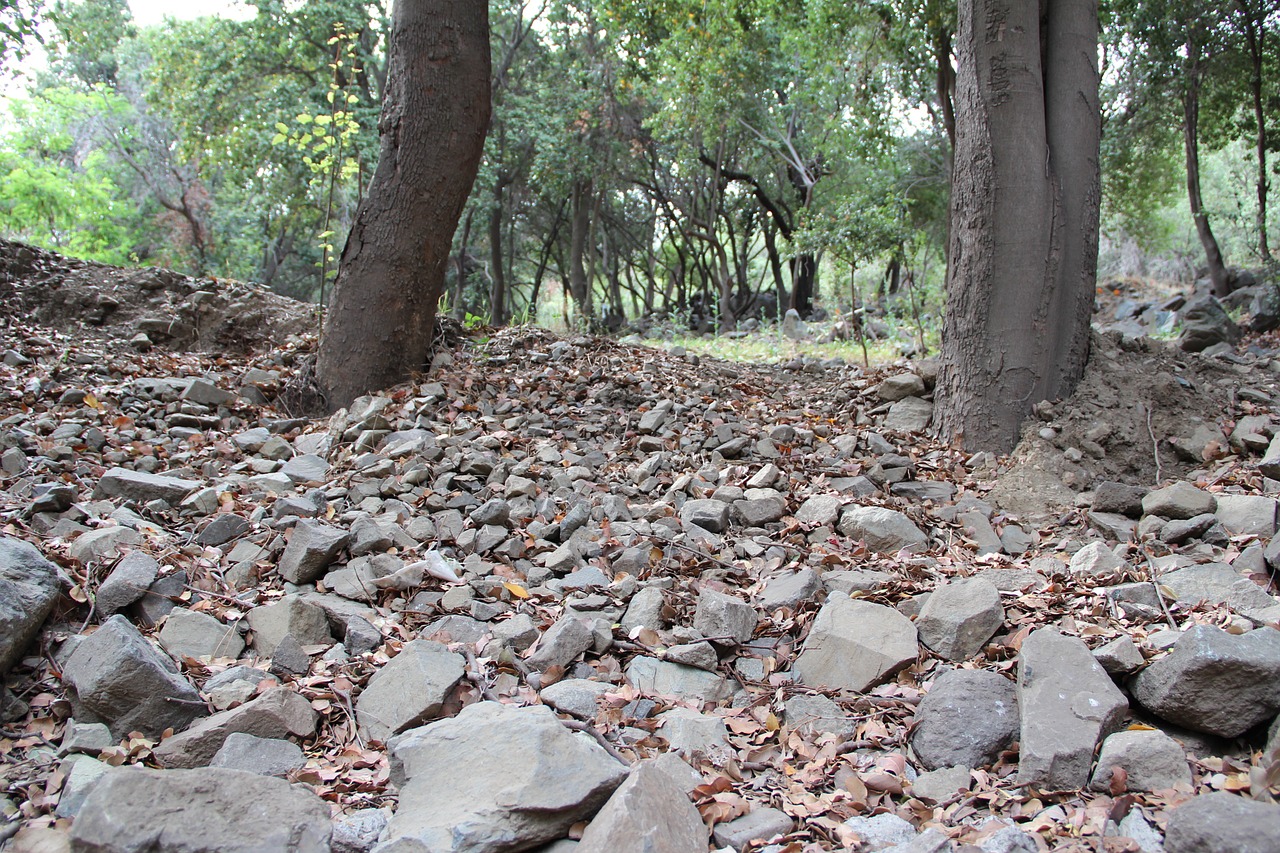 cajon del maipo stones forest free photo