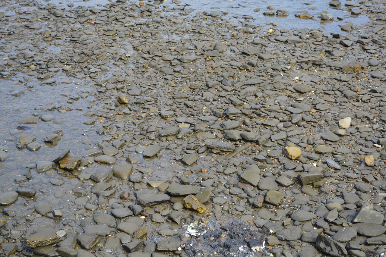 stones sea nature free photo