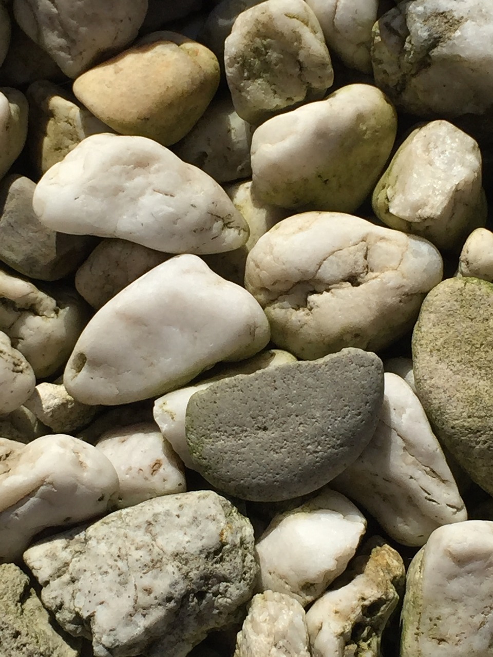 stones pebble pebbles free photo