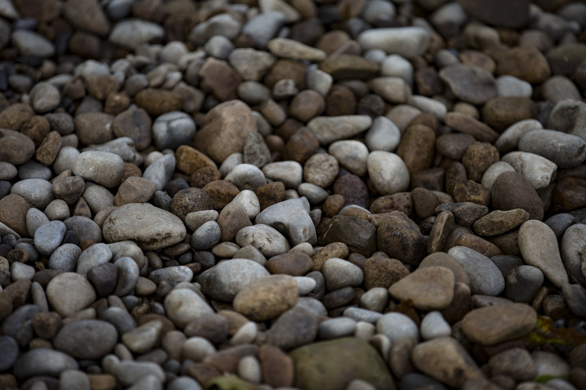 water outdoor closeup free photo