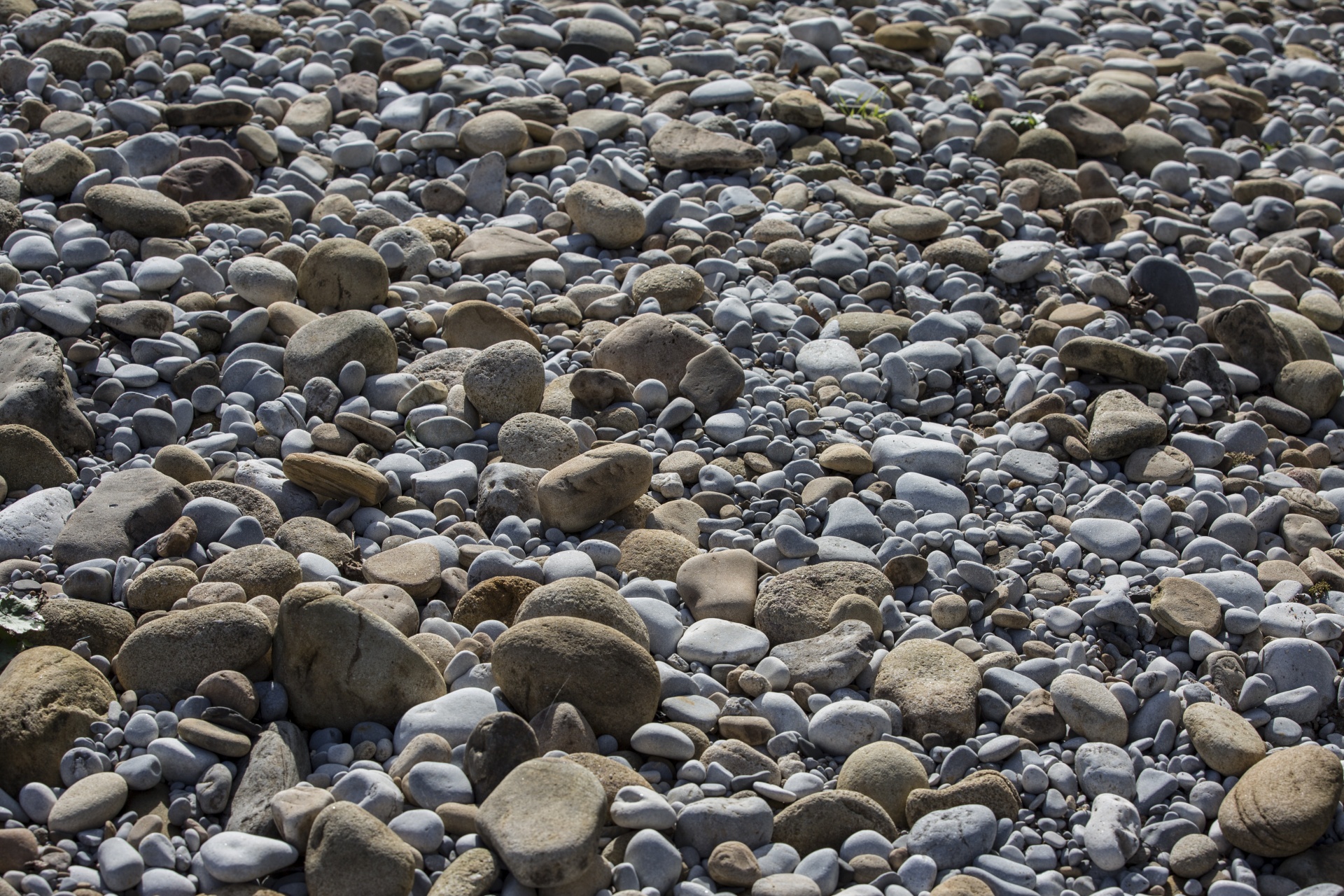 water outdoor closeup free photo