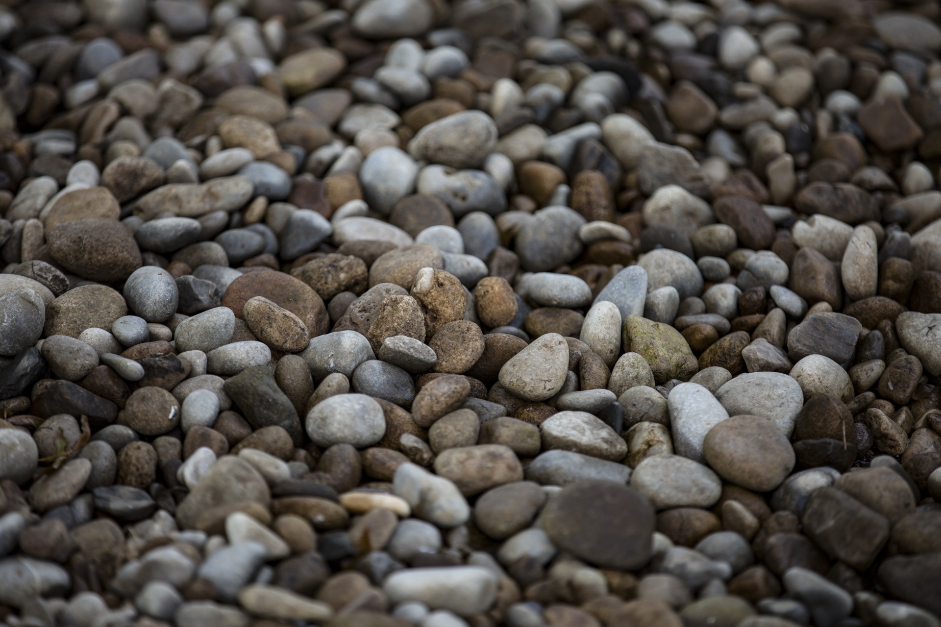 water outdoor closeup free photo