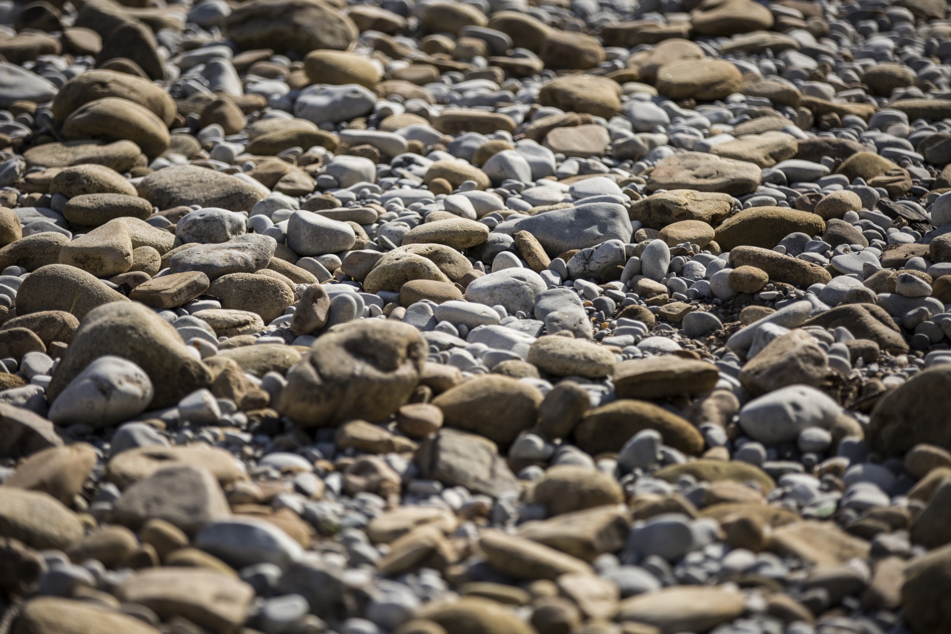 water outdoor closeup free photo