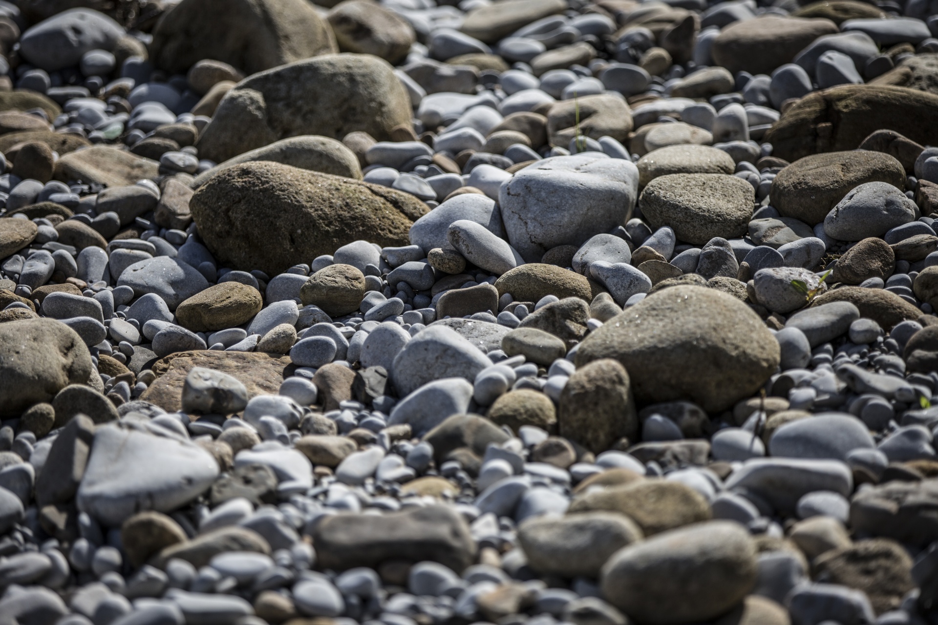 water outdoor closeup free photo