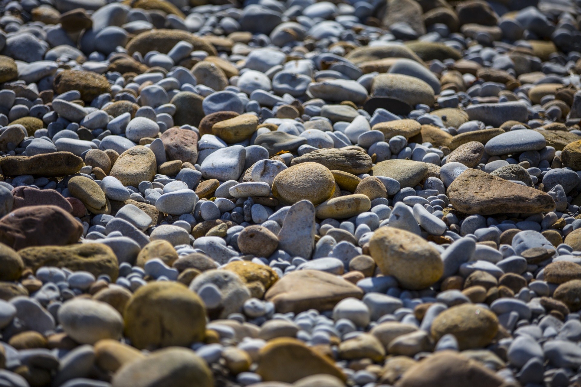 water outdoor closeup free photo