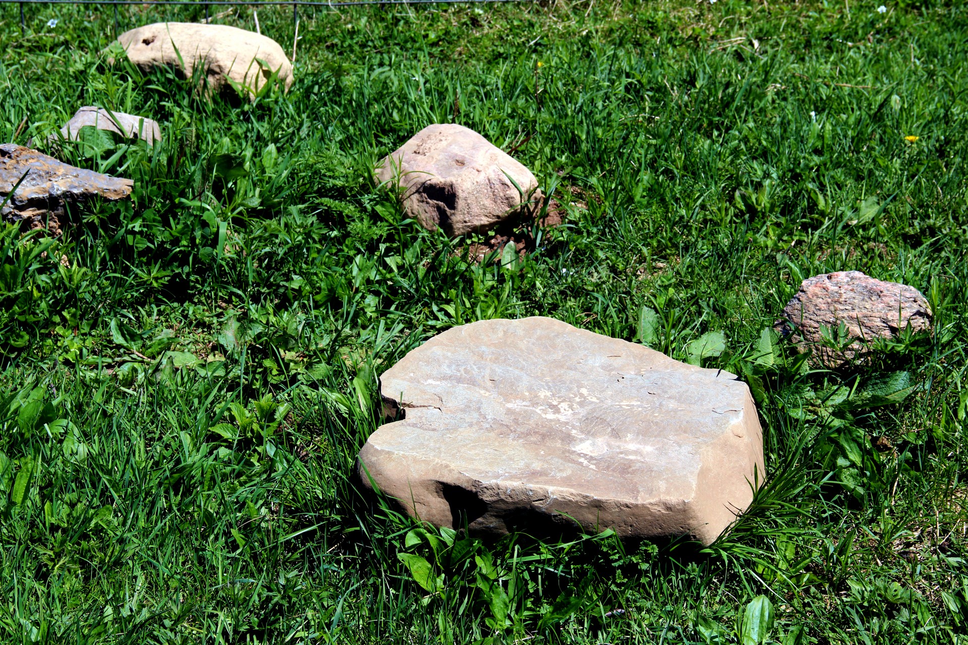stones stone grass free photo