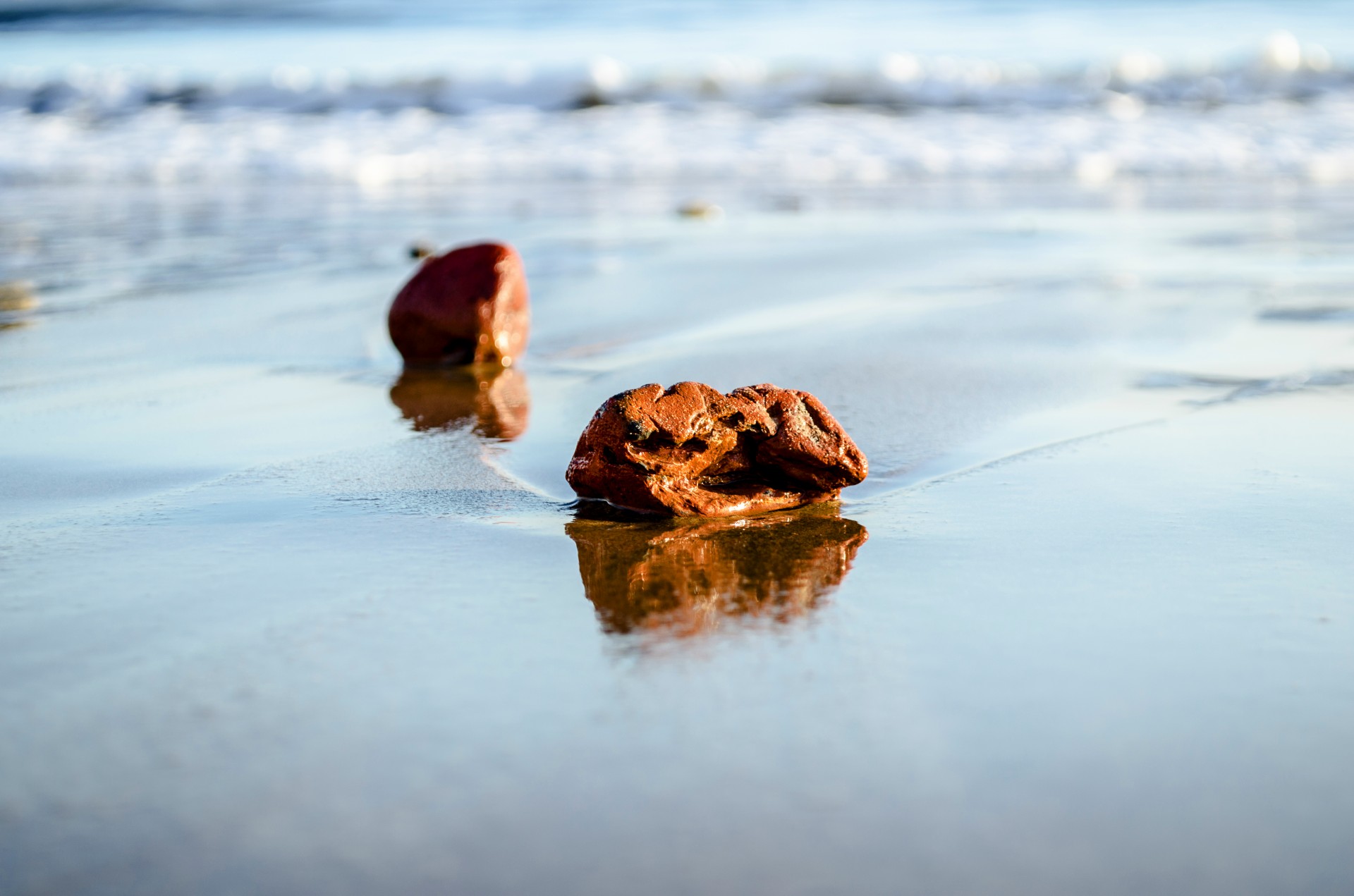 beach bright calm free photo