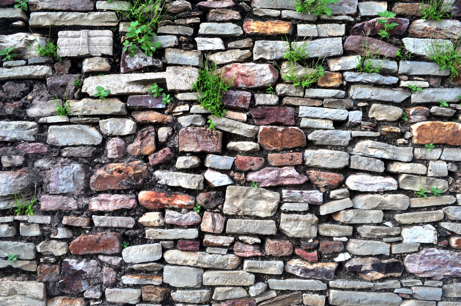 stone wall rock free photo