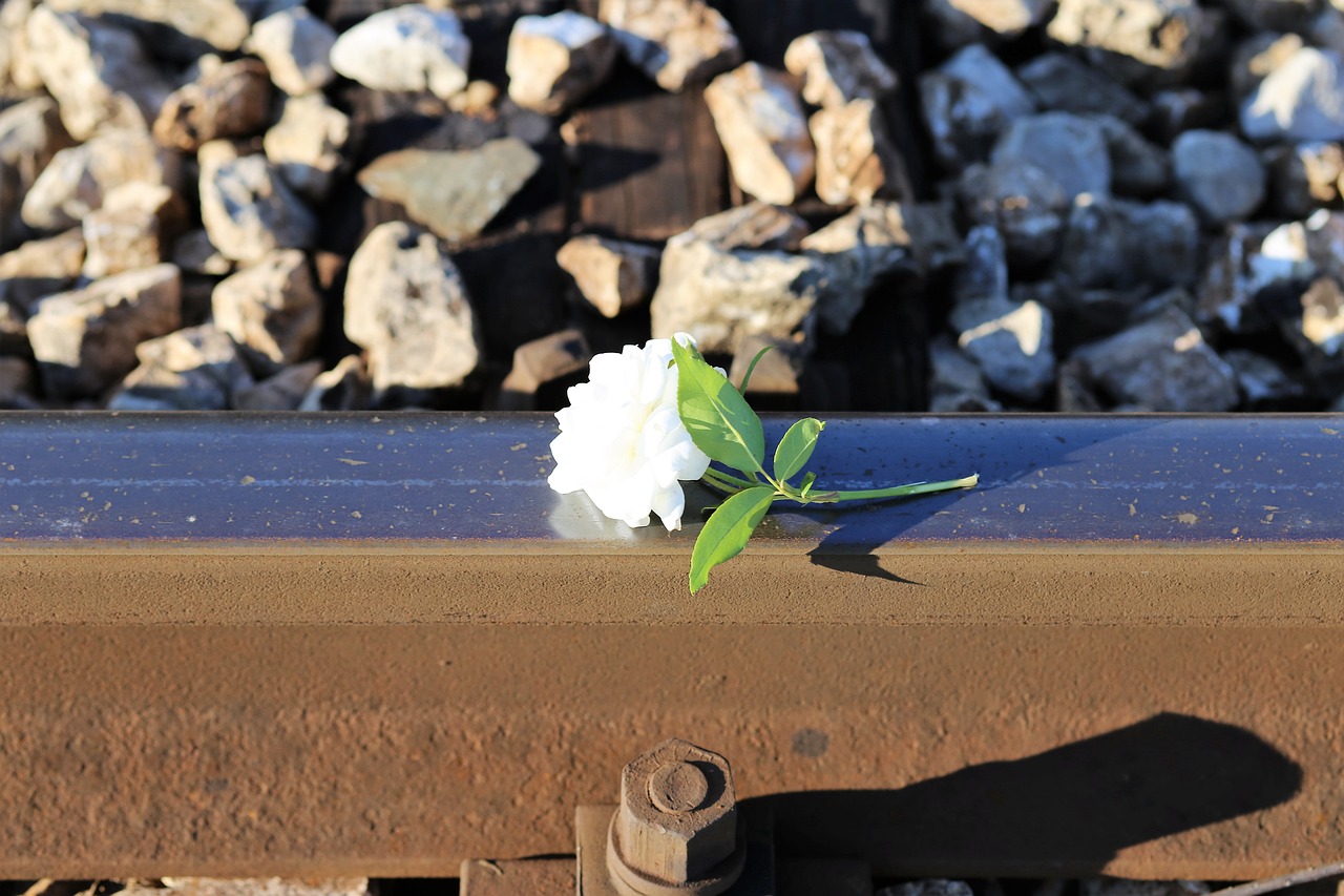 stop children suicide tiny fragile white rose railway free photo