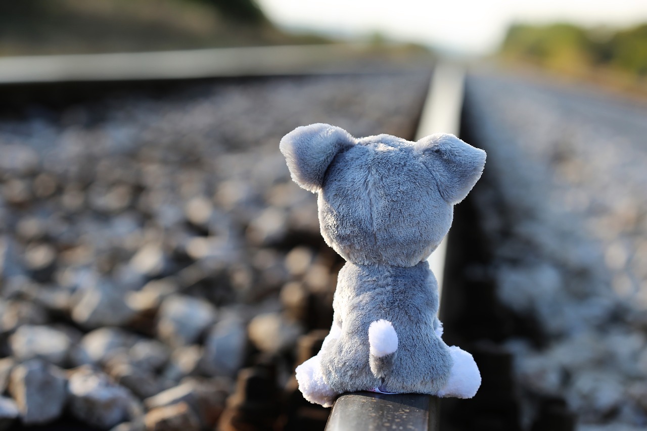 stop children suicide teddy bear waiting lost friend free photo