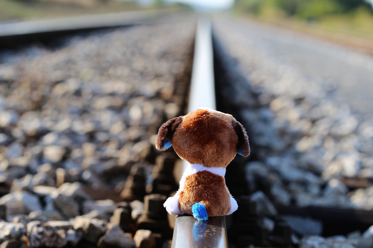 stop children suicide teddy bear waiting lost friend free photo