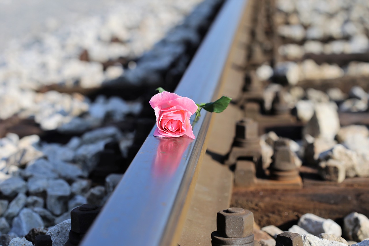 stop children suicide stop teenager suicide pink rose on railway free photo