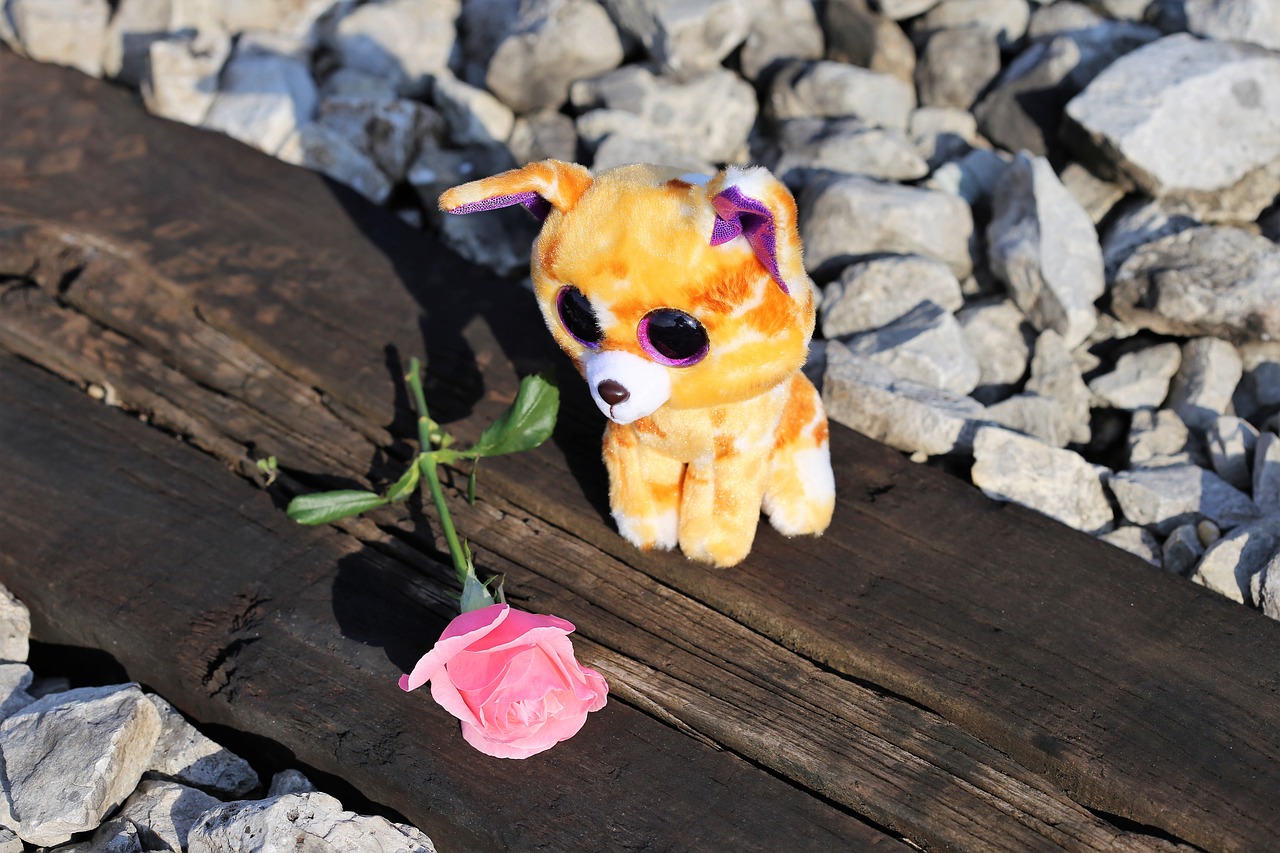 stop children suicide sad kitty on rail stop teenager suicide free photo