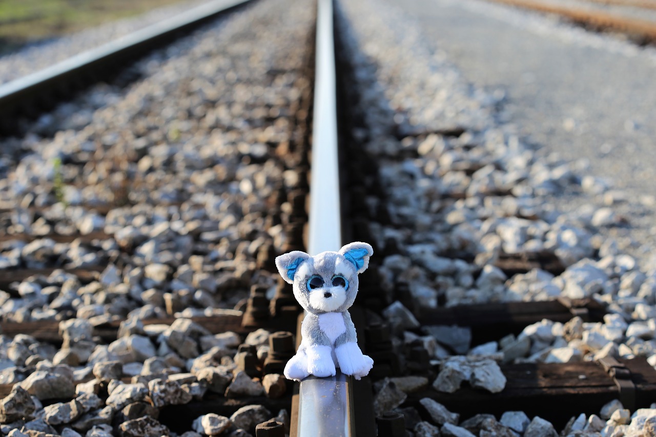 stop children suicide now teddy bear in shock still waiting free photo