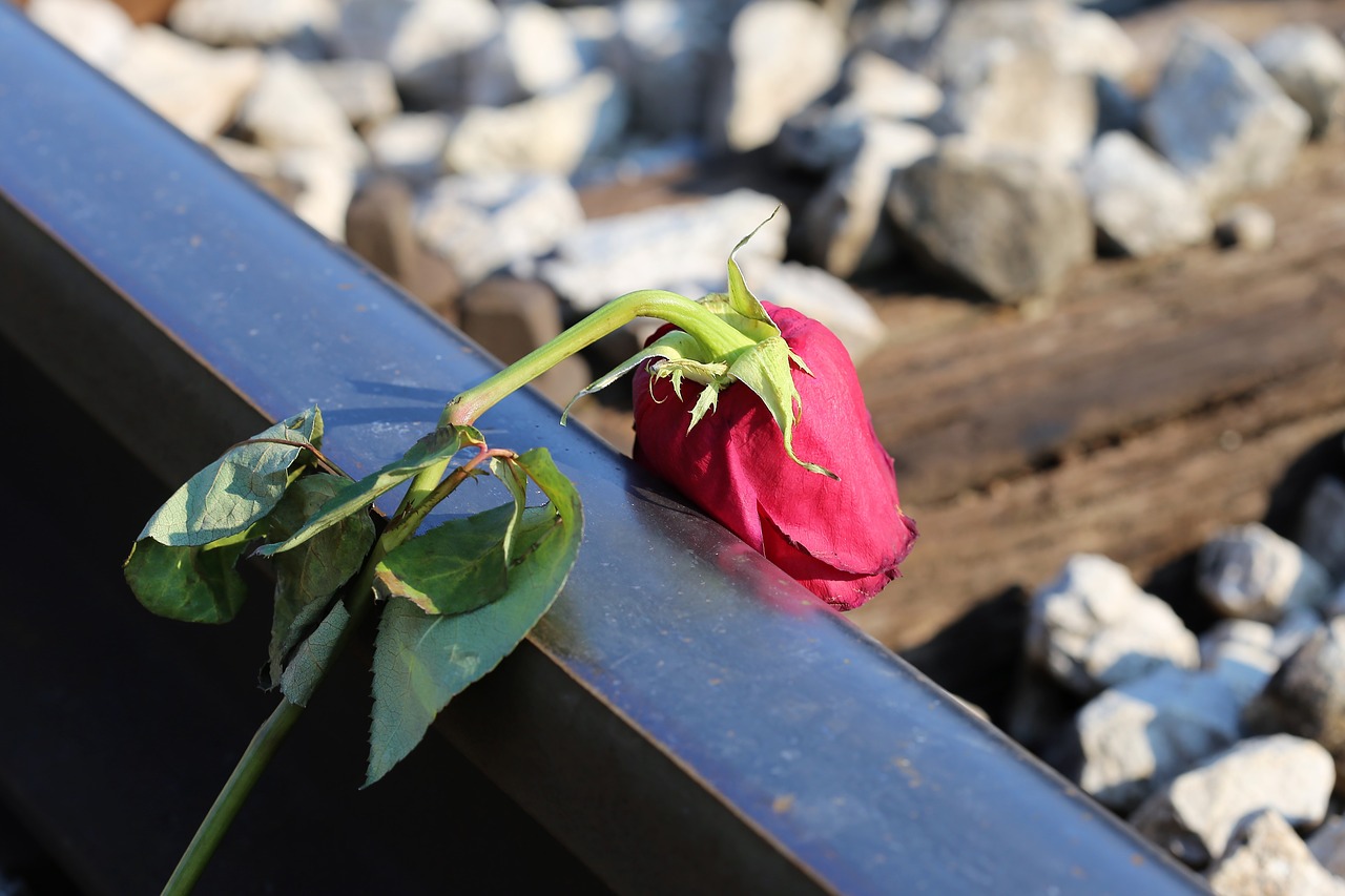 stop youth suicide  sad red rose  railway free photo
