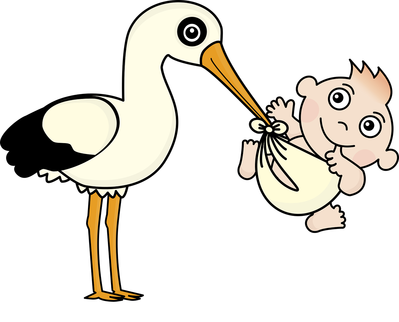 stork baby child free photo