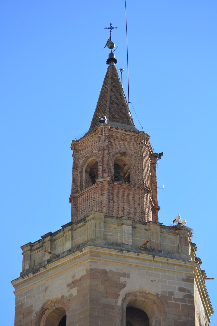 stork animal world bell tower free photo