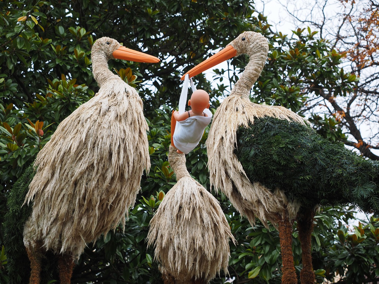stork children bird free photo