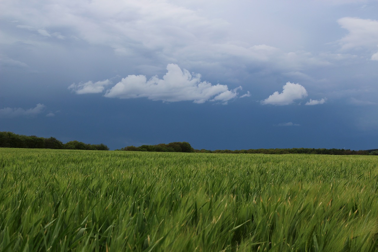 storm landscape free pictures free photo