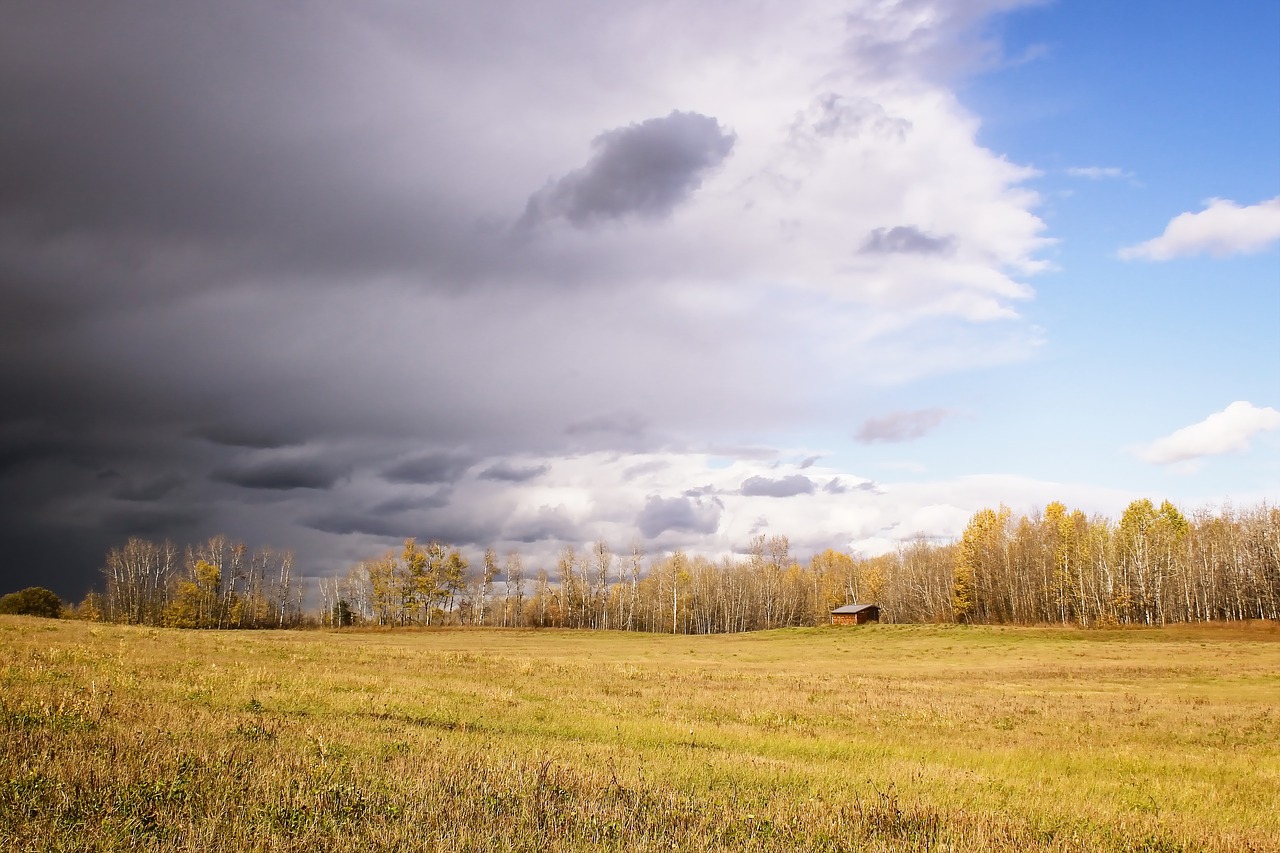 storm  field  sky free photo