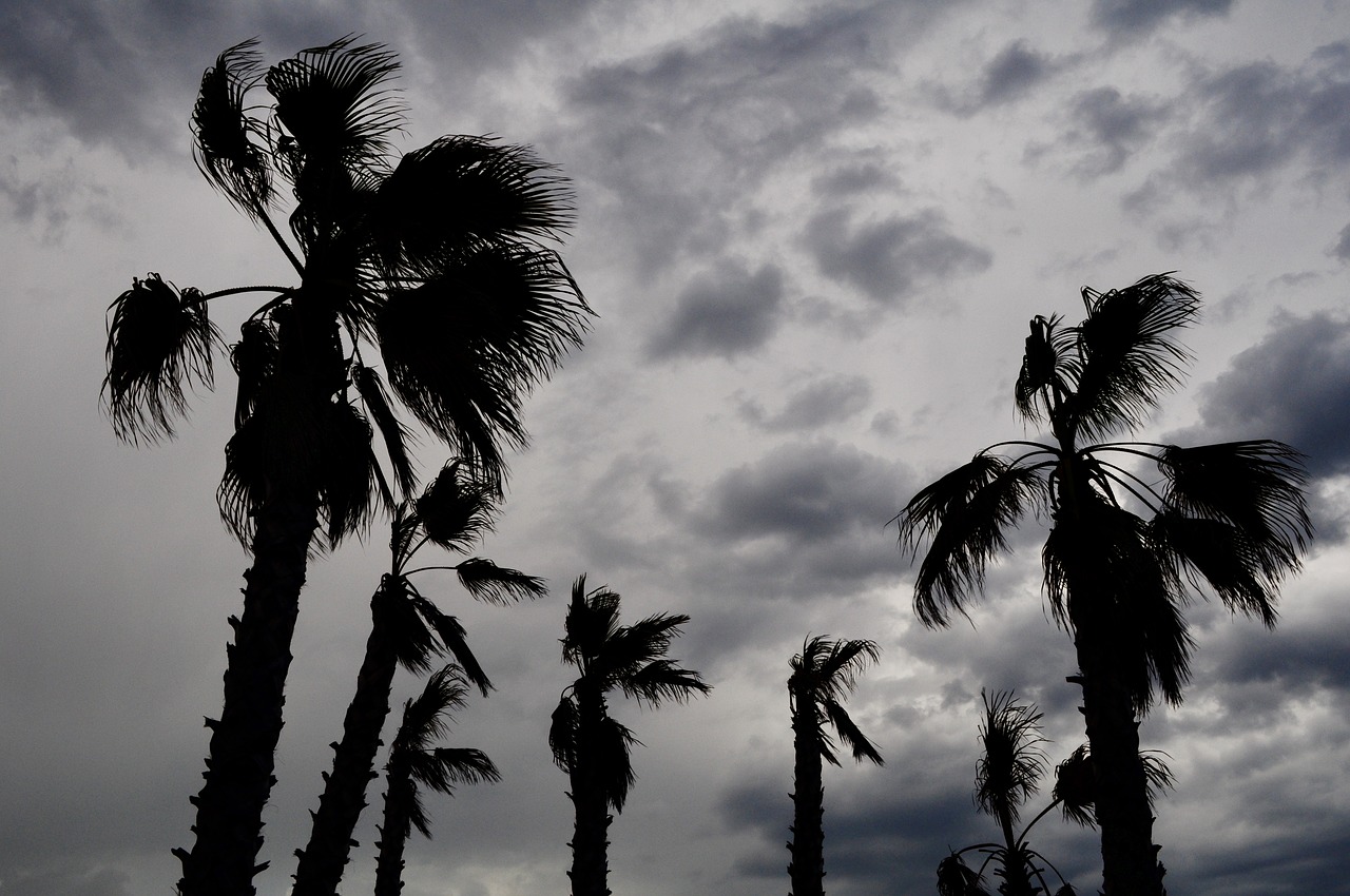 storm  sky  clouds free photo