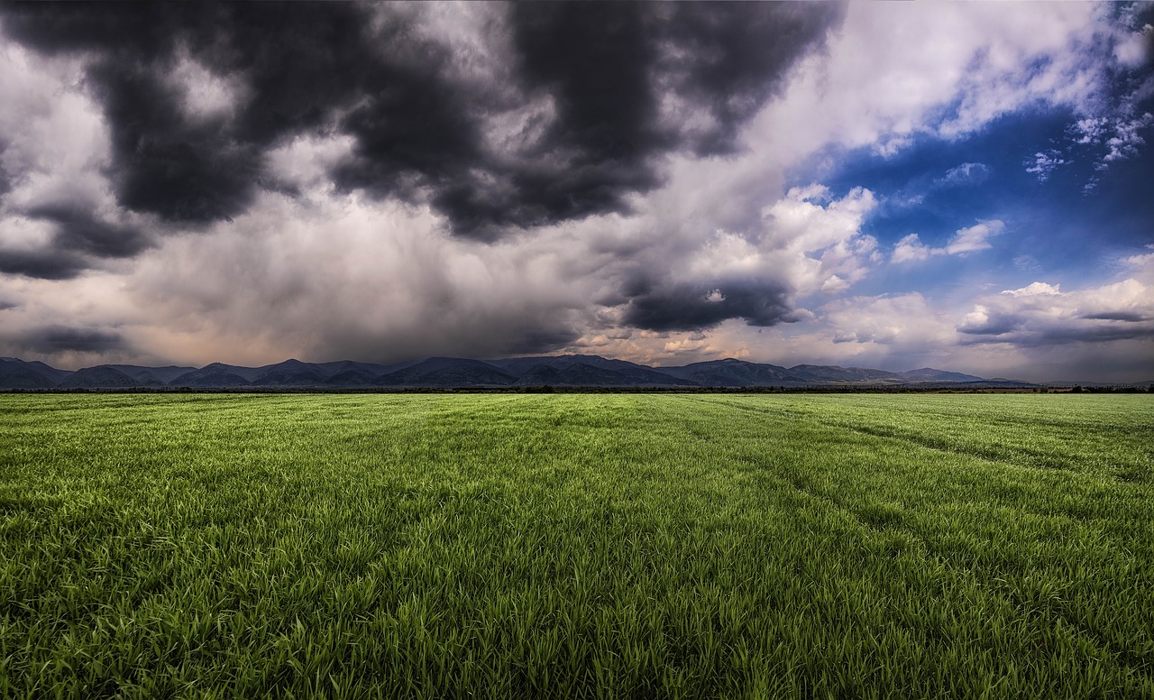 storm  mountain  grass free photo