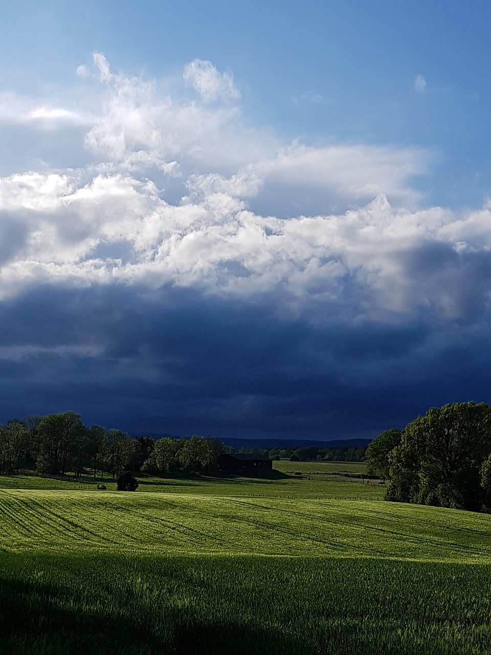 storm  thunder  cloud free photo