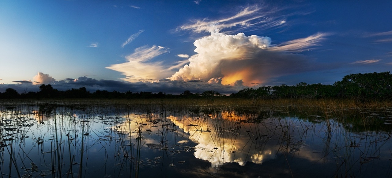storm clouds everglades swamp free photo