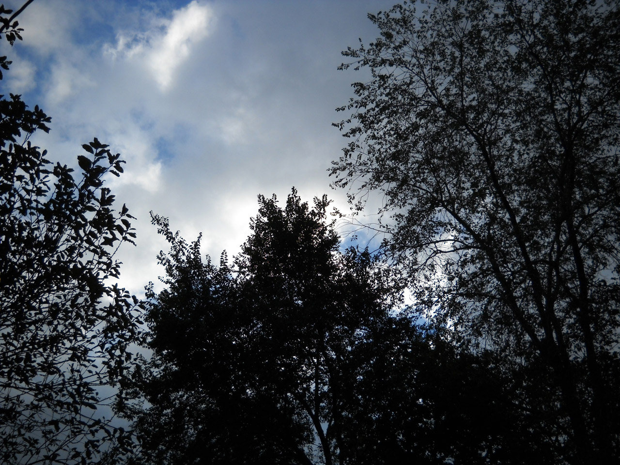 storm clouds nature free photo