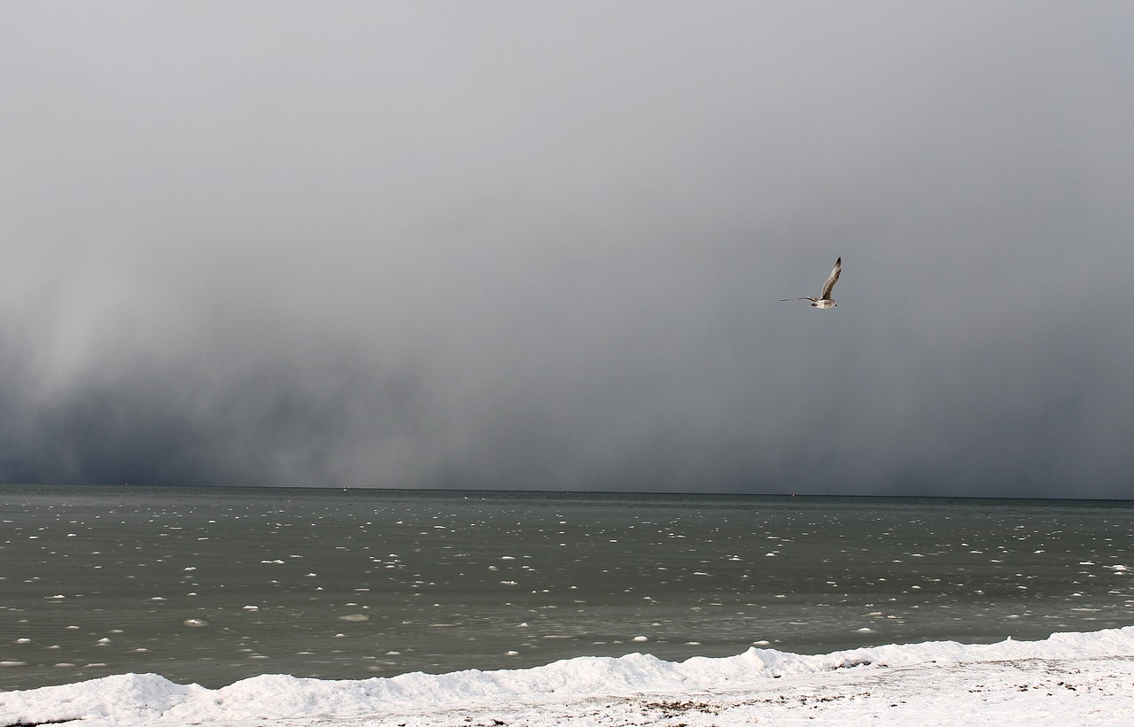 storm on the sea  baltic sea  bad weather free photo