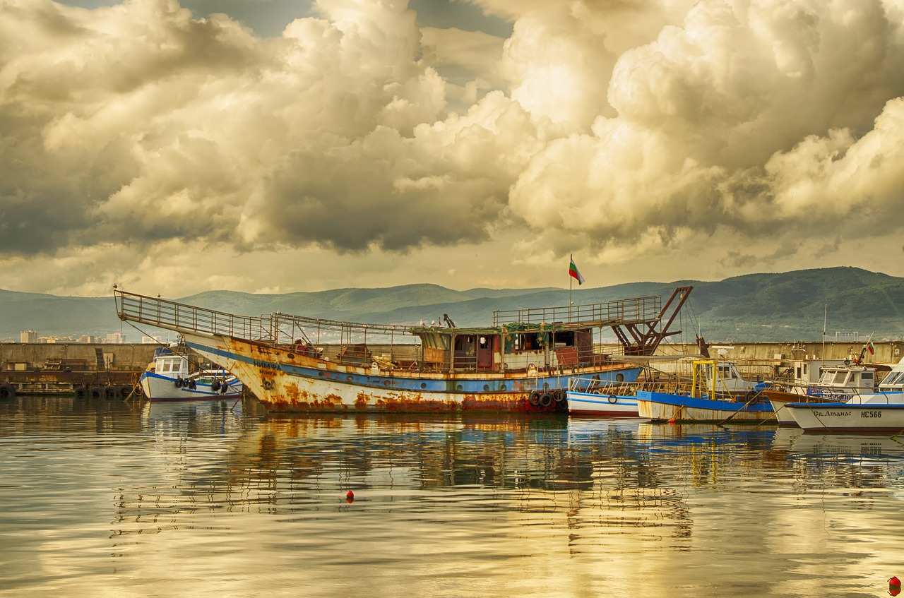 stormy  black sea  rusted hulk free photo