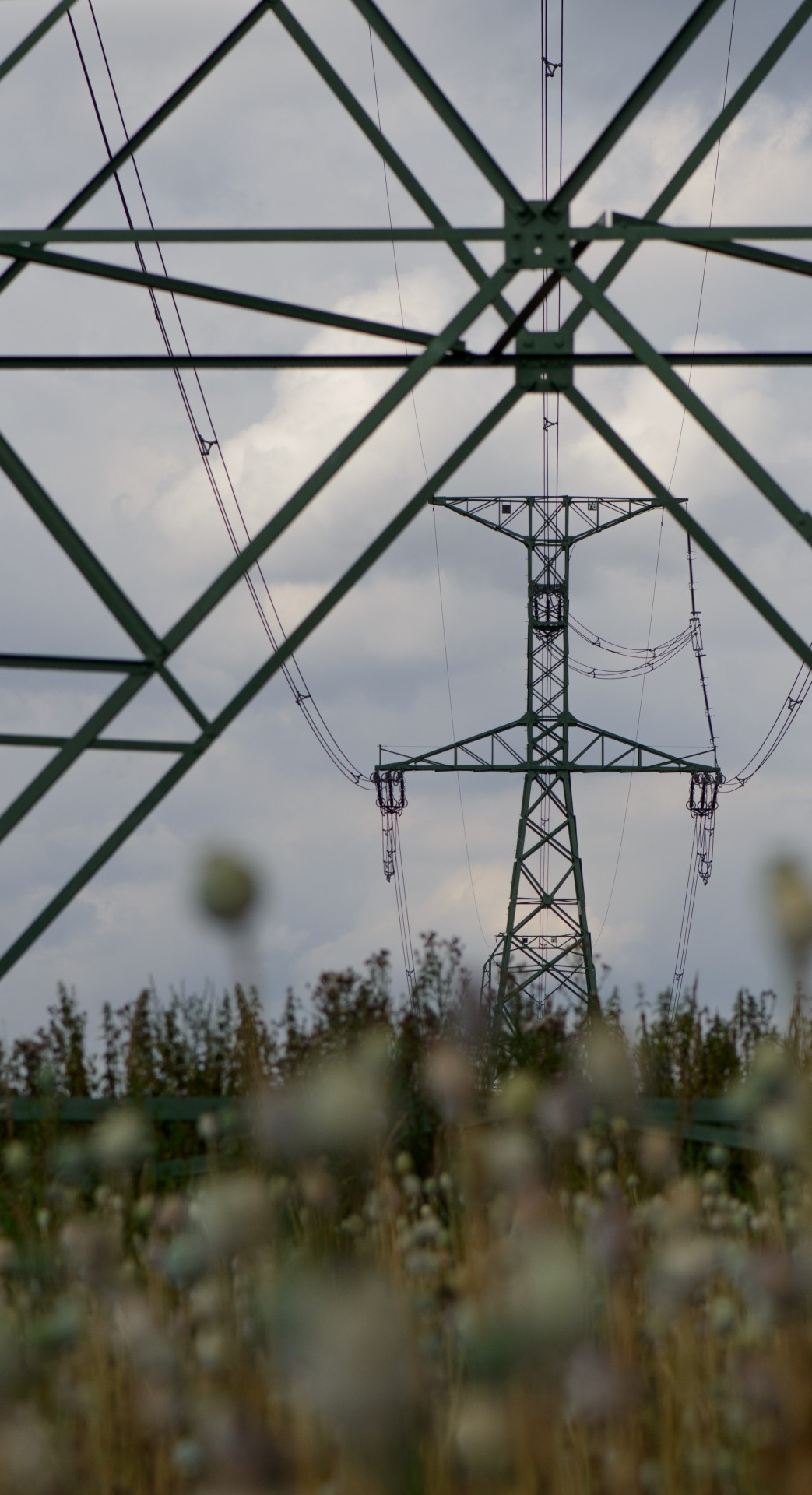 sun transmission towers wires free photo