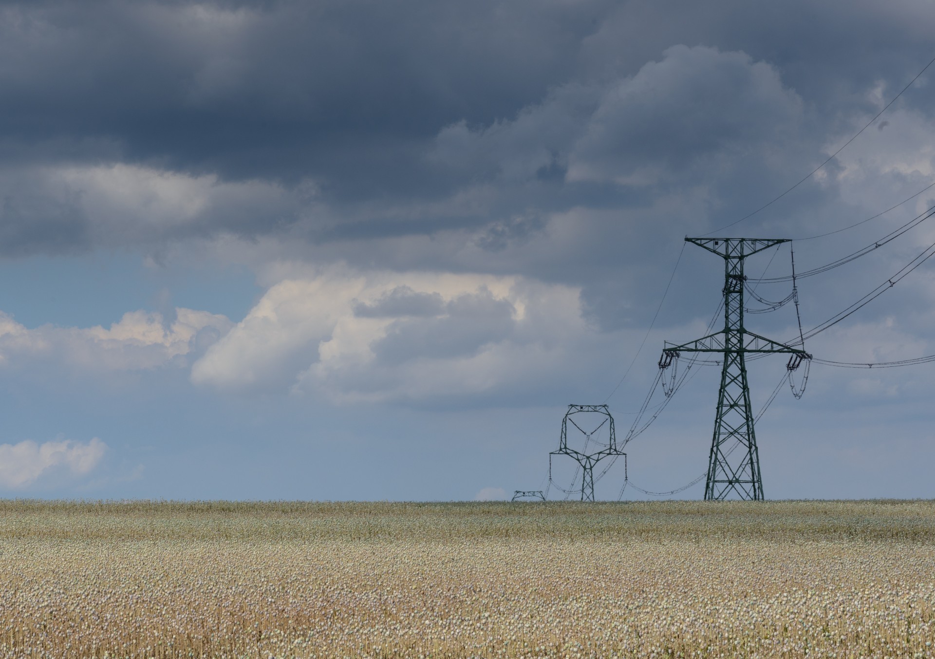 sun transmission tower wires free photo