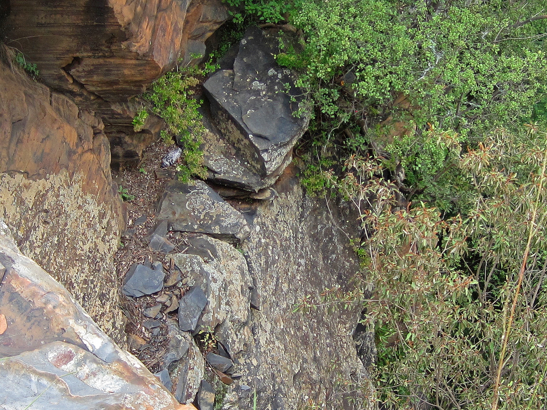 rocks cliffs steep free photo