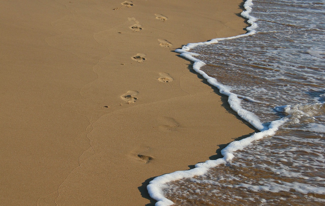 strand  coast  shore free photo