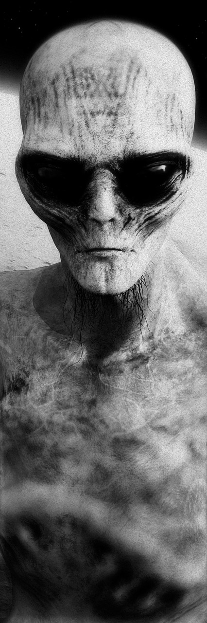 stranger alien 3d model free photo