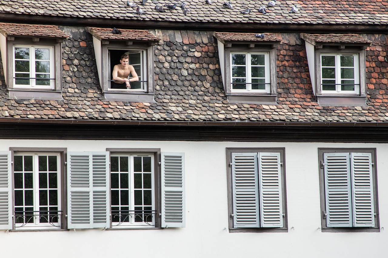 strasbourg  morning  resident free photo